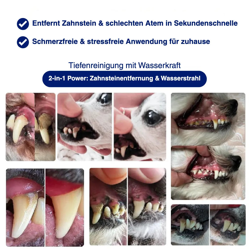 Silent Sonic - Leiser Ultraschall Plaque- & Zahnsteinentferner für Hunde