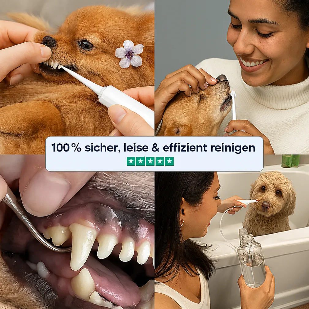 Silent Sonic - Leiser Ultraschall Plaque- & Zahnsteinentferner für Hunde