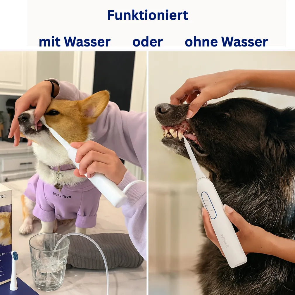 Silent Sonic - Leiser Ultraschall Plaque- & Zahnsteinentferner für Hunde