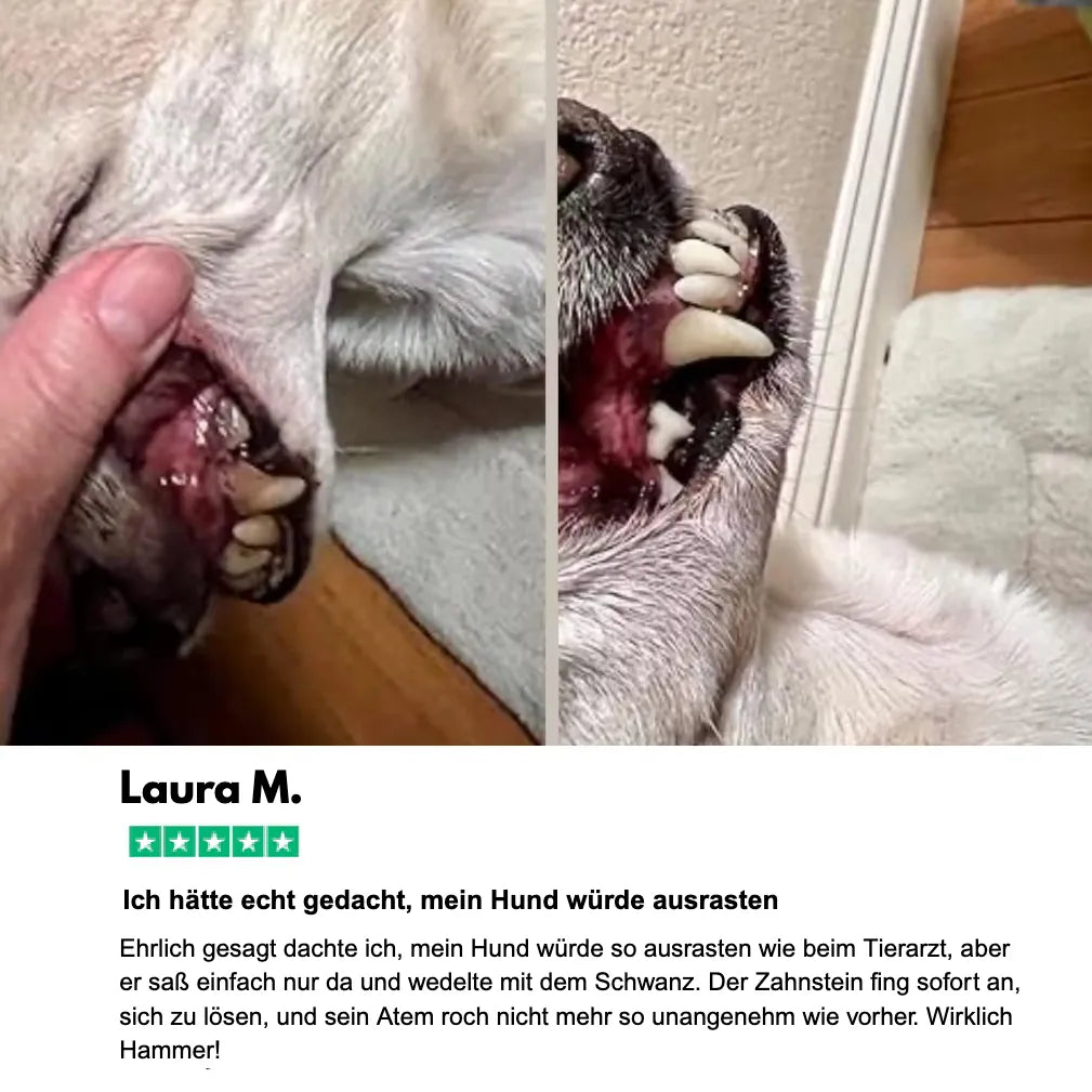 Silent Sonic - Leiser Ultraschall Plaque- & Zahnsteinentferner für Hunde