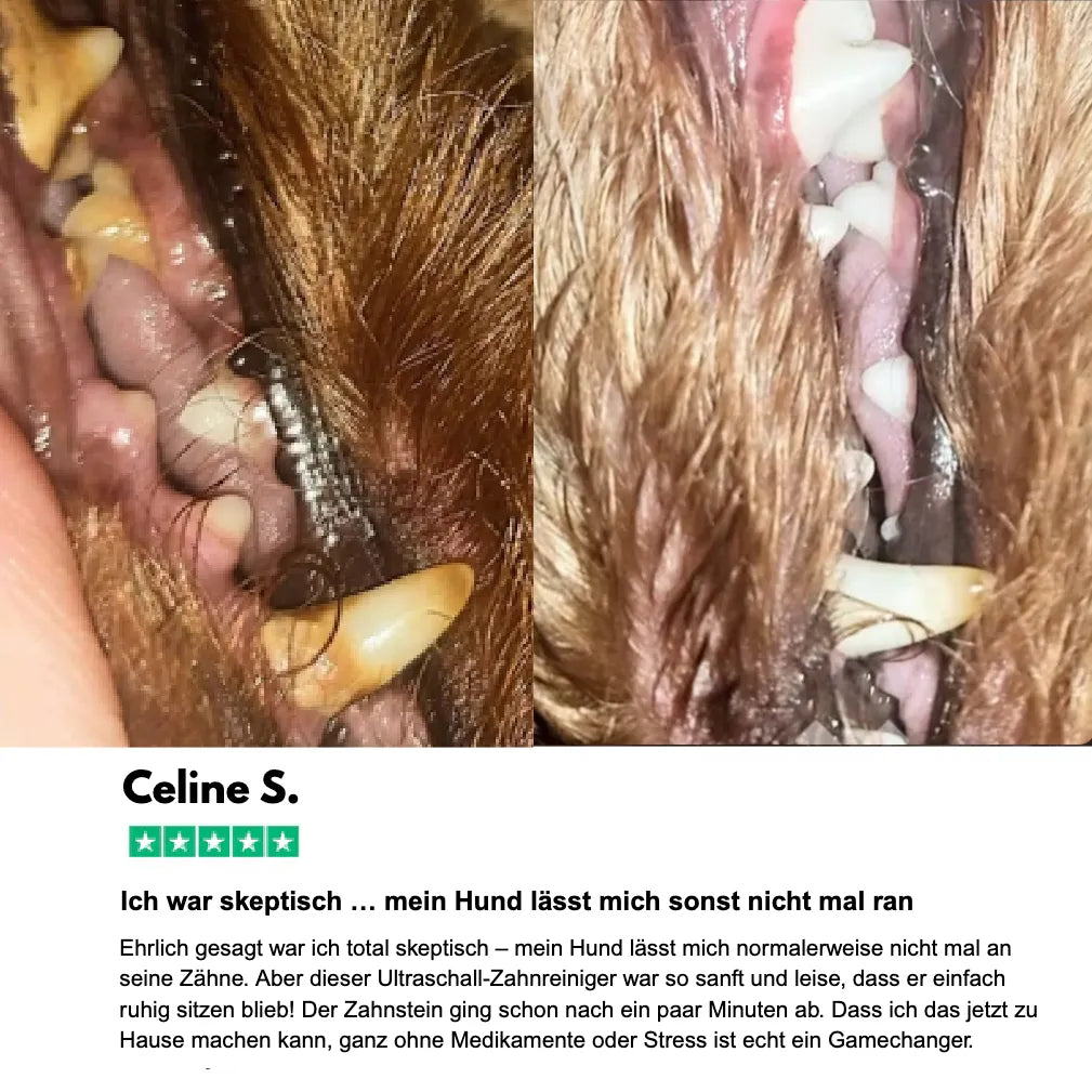 Silent Sonic - Leiser Ultraschall Plaque- & Zahnsteinentferner für Hunde
